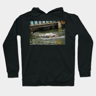 Two Alligators Hoodie